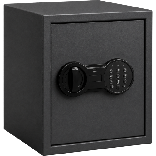 MS-29_1_PNG.png