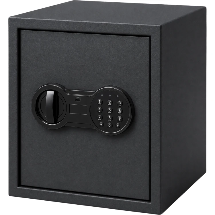 MS-29_2_PNG.png